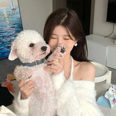 我们是一群小小鸟